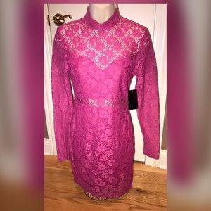 NWT Pink Lace Dress Small